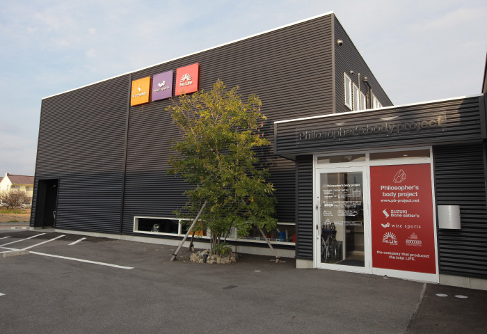 Philosopher's body project