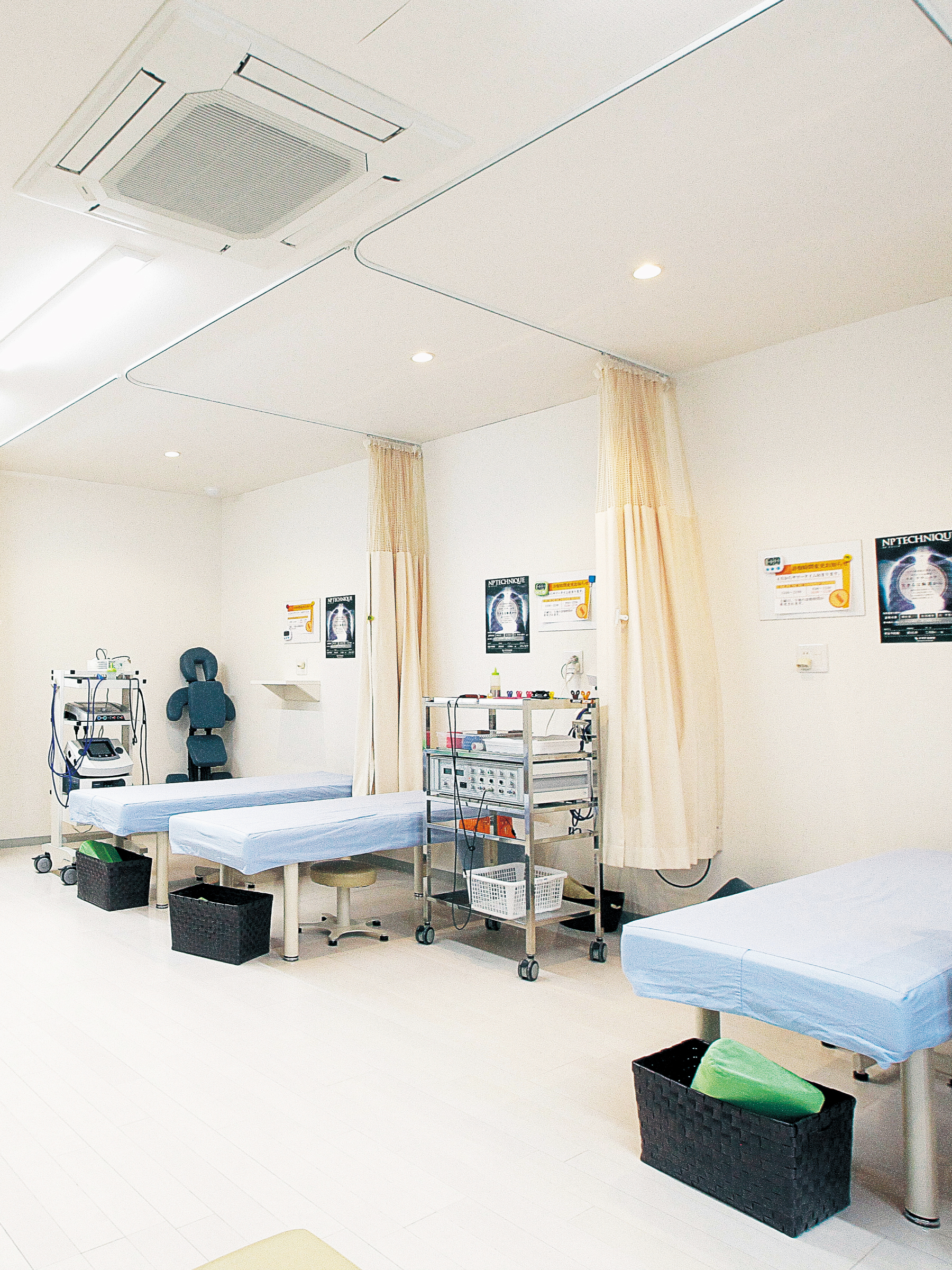 Philosopher's body project