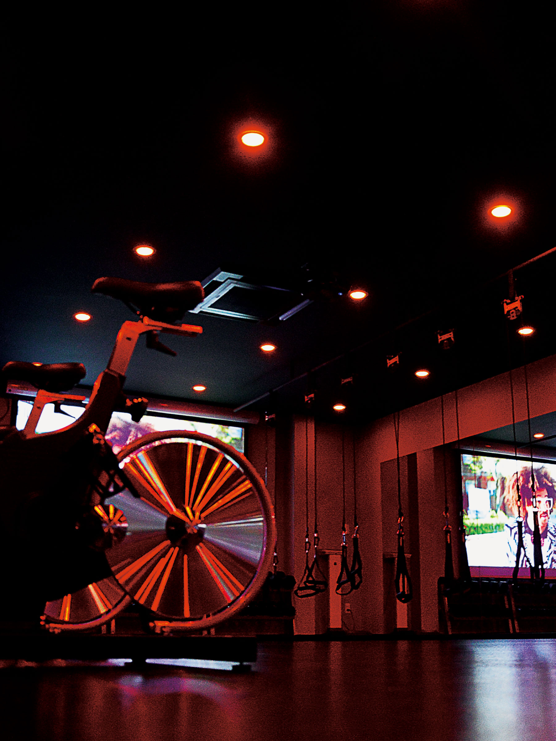 Philosopher's body project