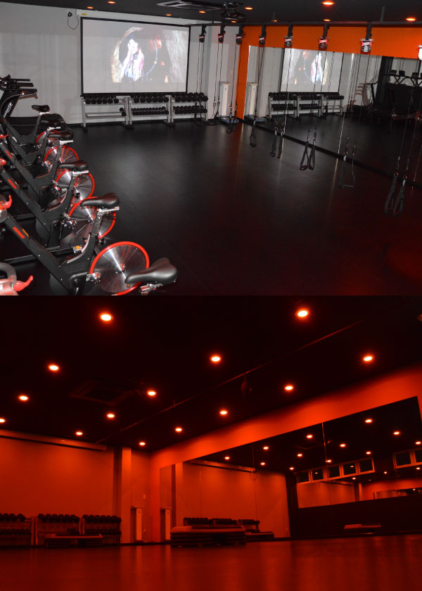 Philosopher's body project