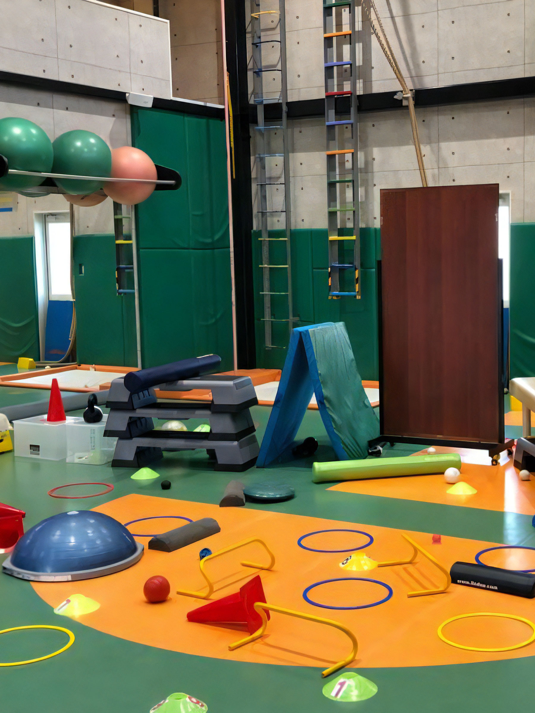 Philosopher's body project