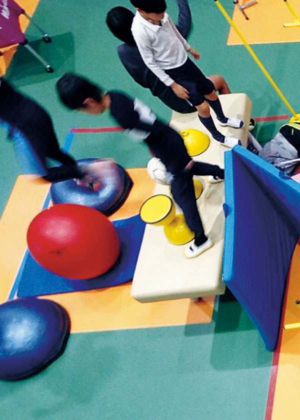 Philosopher's body project