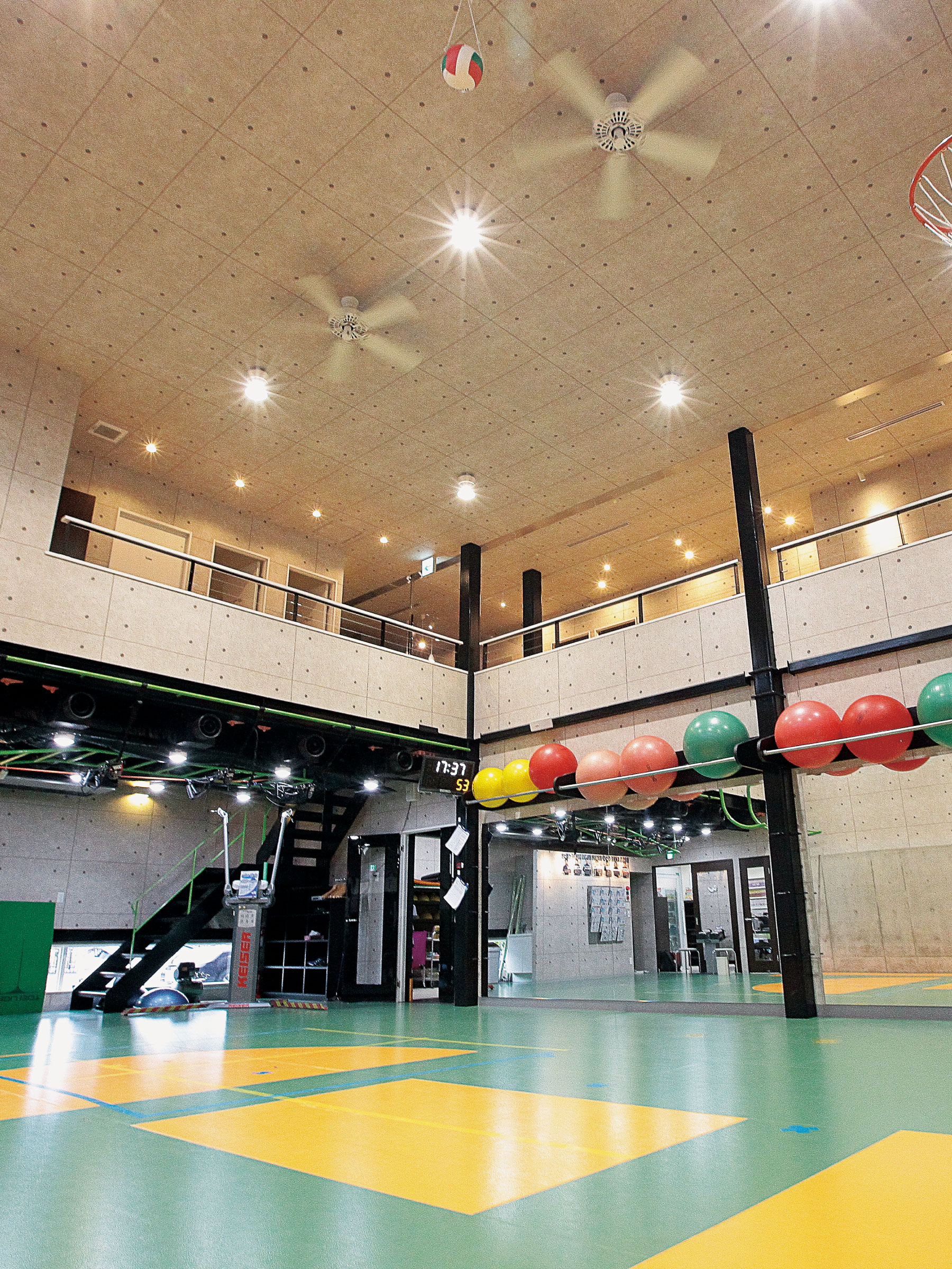 Philosopher's body project