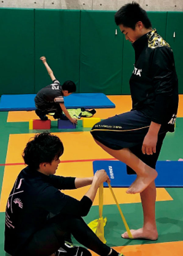 Philosopher's body project